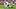 Jameson Williams, Detroit Lions, 2026 Fantasy Football Jameson Williams, Detroit Lions, 2026 Fantasy Football