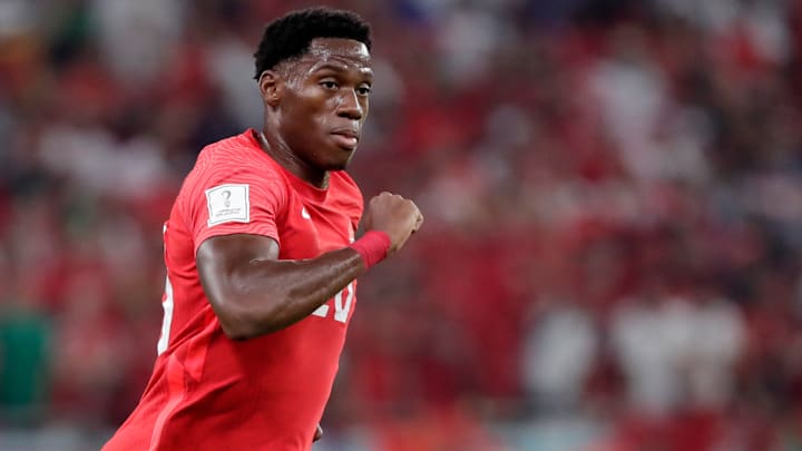 David is a wanted man David is a wanted man