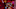 MS-S13-EP1301-Show_00497_f_f MS-S13-EP1301-Show_00497_f_f