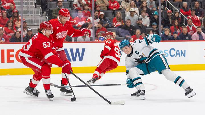 Detroit Red Wings defenseman Moritz Seider (53) Credit: Brian Bradshaw Sevald-Imagn Images Detroit Red Wings defenseman Moritz Seider (53) Credit: Brian Bradshaw Sevald-Imagn Images