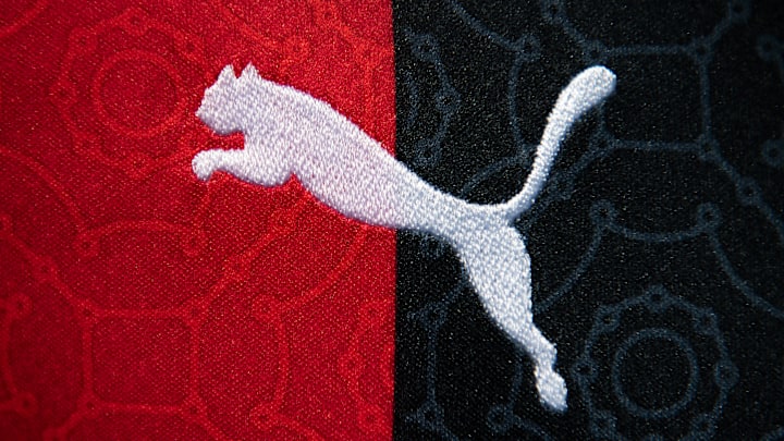 The Puma Logo