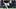Dallas Cowboys quarterback Dak Prescott. Dallas Cowboys quarterback Dak Prescott.