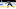 Buffalo Sabres winger Josh Doan Buffalo Sabres winger Josh Doan