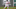 Boston Red Sox shortstop Trevor Story Boston Red Sox shortstop Trevor Story