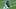 Seattle Seahawks punter Michael Dickson Seattle Seahawks punter Michael Dickson