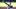 Los Angeles Dodgers pitcher Shohei Ohtani Los Angeles Dodgers pitcher Shohei Ohtani