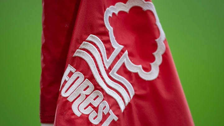 Nottingham Forest v Aston Villa - Premier League