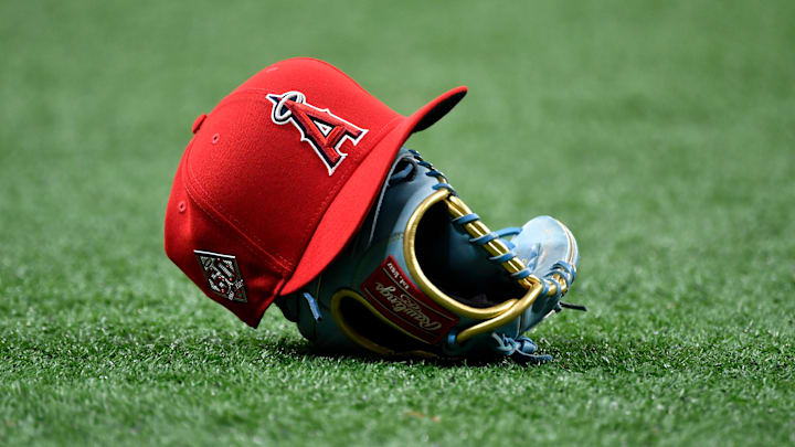 Los Angeles Angels v Tampa Bay Rays