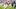 New England Patriots running back Rhamondre Stevenson (38) New England Patriots running back Rhamondre Stevenson (38)