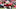 Houston Texans Houston Texans