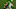 John McGinn, Milos Kerkez John McGinn, Milos Kerkez