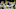 Sidy Sow, Baltimore Ravens Sidy Sow, Baltimore Ravens