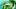 fresh green head of cabbage and one american dollar in it on an isolated background
