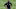 Aaron Glenn stands around during minicamp with a whistle in his mouth.