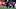 New England Patriots wide receiver A.J. Brown New England Patriots wide receiver A.J. Brown