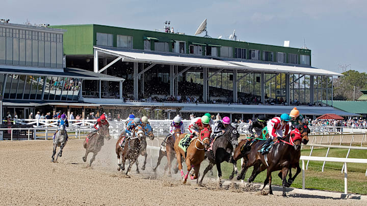 Tampa Bay Downs Tampa Bay Downs