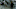 The Terminal List: Dark Wolf - First Look The Terminal List: Dark Wolf - First Look