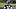 Jun 9, 2026; Houston, Texas, USA; Houston Texans running back David Montgomery arrives for the team’s minicamp at Houston Met Jun 9, 2026; Houston, Texas, USA; Houston Texans running back David Montgomery arrives for the team’s minicamp at Houston Met