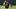 Pittsburgh Pirates third baseman Nick Gonzales Pittsburgh Pirates third baseman Nick Gonzales
