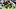 Pittsburgh Steelers running back Jaylen Warren fantasy football Pittsburgh Steelers running back Jaylen Warren fantasy football