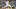 Detroit Tigers starting pitcher Casey Mize Detroit Tigers starting pitcher Casey Mize