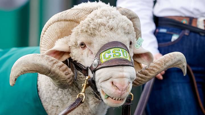 Nov 28, 2025; Fort Collins, Colorado, USA; Colorado State Rams mascot CAM the Ram in the third quarter against the Air Force Falcons at Sonny Lubick Field at Canvas Stadium. Mandatory Credit: Isaiah J. Downing-Imagn Images