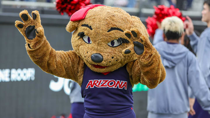 Nov 2, 2024; Orlando, Florida, USA; Arizona’s mascot Wilma the Wildcat performs during a game against the UCF Knights at FBC Mortgage Stadium. Mandatory Credit: Mike Watters-Imagn Images