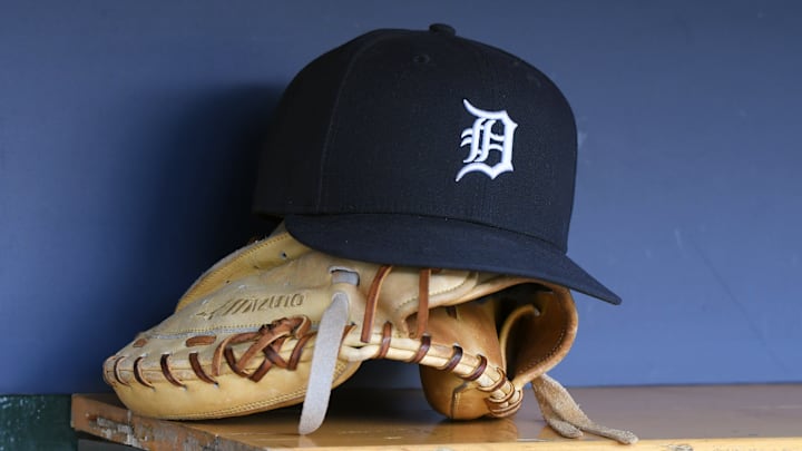 Tampa Bay Rays v Detroit Tigers