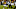 Rayshad Nichols, Baltimore Ravens Rayshad Nichols, Baltimore Ravens