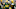 Chicago Bears, Rashan Gary Chicago Bears, Rashan Gary