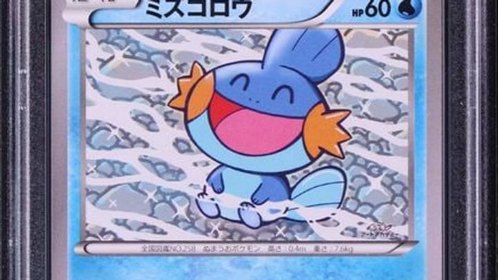 2015 Pokemon Japanese XY Promo Art Academy Daisuke Ochiai Mudkip PSA 10 2015 Pokemon Japanese XY Promo Art Academy Daisuke Ochiai Mudkip PSA 10