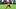 Arizona Cardinals QB Gardner Minshe Arizona Cardinals QB Gardner Minshe