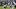 Chicago Bears running back Kyle Monangai. Chicago Bears running back Kyle Monangai.