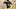  Pittsburgh Steelers running back Rico Dowdle (13)