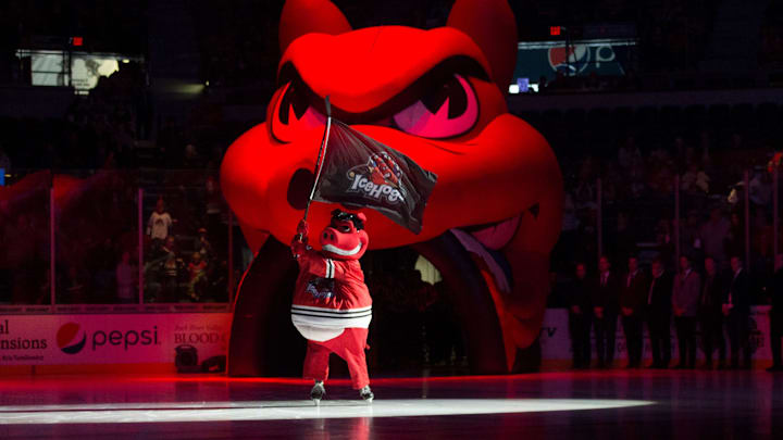 Hammy enters the ice before the IceHogs' game against Grand Rapids Saturday, Oct. 12, 2019, at BMO Harris Bank Center in Rockford.

Icehogs Bmo Harris Bank Center