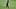 New York Jets tight end Kenyon Sadiq, Fantasy Football New York Jets tight end Kenyon Sadiq, Fantasy Football