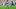 Houston Texans running back David Montgomery Houston Texans running back David Montgomery