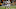 Roschon Johnson, Ekow Boye-doe Roschon Johnson, Ekow Boye-doe