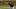 Silvino Bracho tiene experiencia en la MLB Silvino Bracho tiene experiencia en la MLB