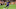 Mauricio Cuevas of the LA Galaxy scored in the 90'+1' of the game on Saturday against FC Cincinnati. The LA Galaxy lost 3-2.