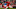 FBL-ENG-FACUP-LIVERPOOL-ACCRINGTON FBL-ENG-FACUP-LIVERPOOL-ACCRINGTON