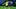Al Nassr v Al Rayyan: AFC Champions League Elite