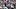 Dallas Cowboys quarterback Dak Prescott Dallas Cowboys quarterback Dak Prescott