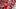 Kansas City Chiefs quarterback Patrick Mahomes