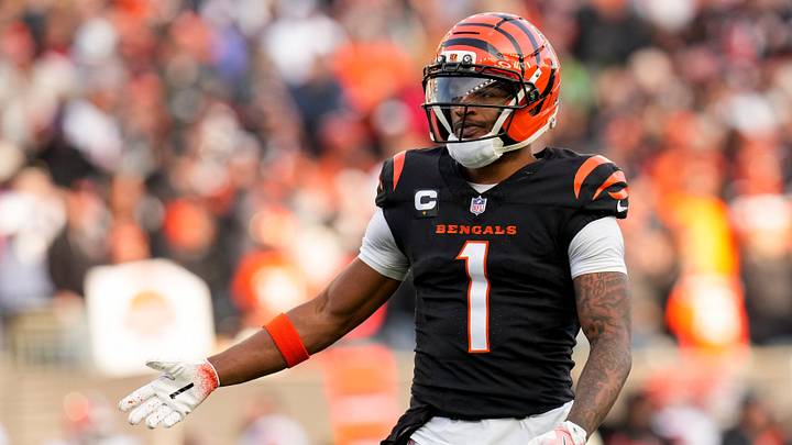 Cincinnati Bengals wide receiver Ja'marr Chase (1) reacts after the Bengals are forced to punt in the fourth quarter against the Cleveland Browns  at Paycor Stadium. Mandatory Credit: Sam Greene-USA TODAY Network via Imagn Images