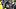 Pittsburgh Steelers cornerback Brandin Echols (26)