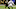 Rock Ya-Sin, Baltimore Ravens Rock Ya-Sin, Baltimore Ravens