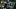 New York Jets wide reciever John Metchie New York Jets wide reciever John Metchie