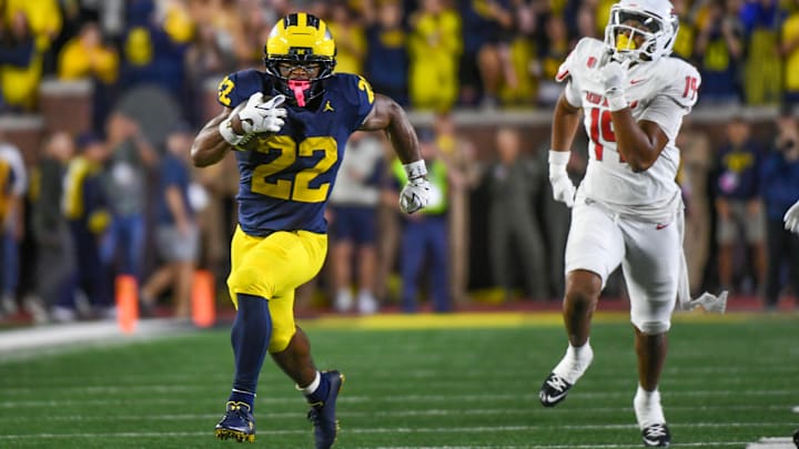 New Mexico v Michigan
