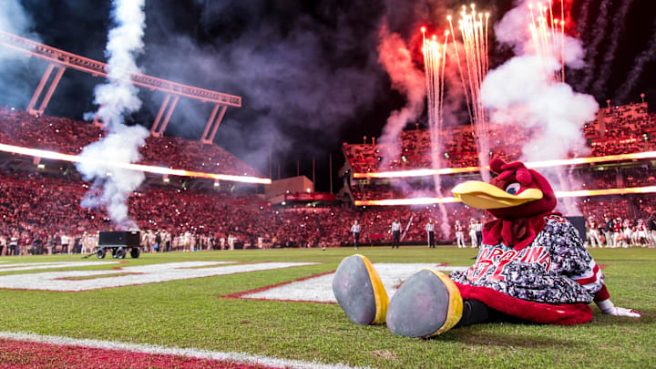 Nov 23, 2024; Columbia, South Carolina, USA; South Carolina Gamecocks mascot Cocky sits on the field between the third and fourth quarters of a game between the South Carolina Gamecocks and Wofford Terriers at Williams-Brice Stadium. Mandatory Credit: Jeff Blake-Imagn Images
